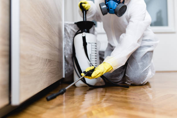 Best Best Pest Control Companies  in Altoona, WI