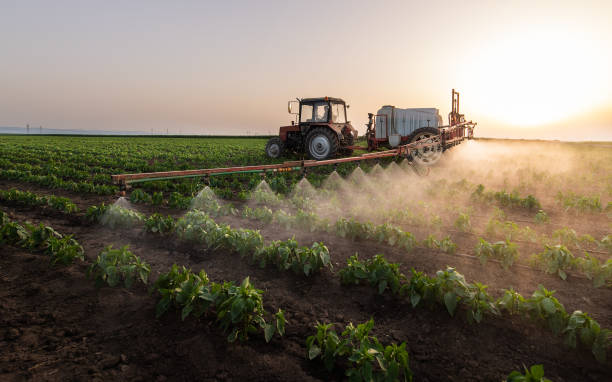 Best Mosquito Control Services  in Altoona, WI