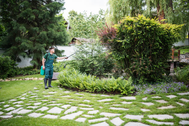 Best Pest Removal Services  in Altoona, WI