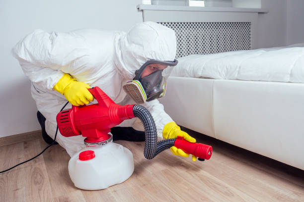 Best Flea Control Services  in Altoona, WI
